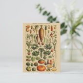 Vintage botanische Illustration Postkarte (Stehend Vorderseite)