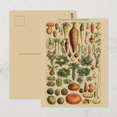 Vintage botanische Illustration Postkarte (Vorne/Hinten)