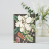 Vintage botanische Illustration Postkarte (Stehend Vorderseite)