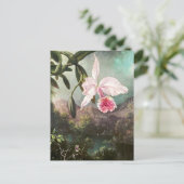 Vintage botanische Illustration Postkarte (Stehend Vorderseite)