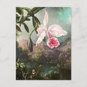 Vintage botanische Illustration Postkarte