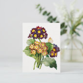 Vintage botanische Illustration Postkarte (Stehend Vorderseite)