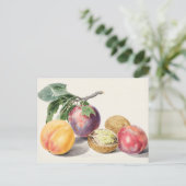 Vintage botanische Illustration Postkarte (Stehend Vorderseite)