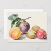 Vintage botanische Illustration Postkarte (Vorne/Hinten)