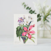 Vintage botanische Illustration Postkarte (Stehend Vorderseite)