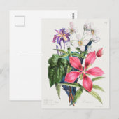 Vintage botanische Illustration Postkarte (Vorne/Hinten)