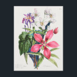 Vintage botanische Illustration Postkarte<br><div class="desc">Schöne botanische Postkarte</div>