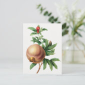 Vintage botanische Illustration Postkarte (Stehend Vorderseite)