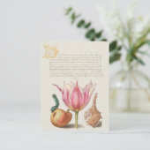 Vintage botanische Illustration Postkarte (Stehend Vorderseite)
