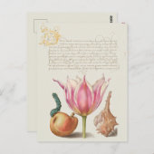 Vintage botanische Illustration Postkarte (Vorne/Hinten)