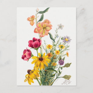 Vintage botanische Illustration Postkarte
