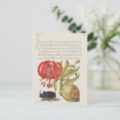 Vintage botanische Illustration Postkarte (Stehend Vorderseite)