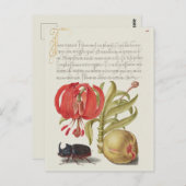 Vintage botanische Illustration Postkarte (Vorne/Hinten)