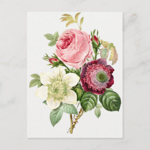 Vintage botanische Illustration Postkarte