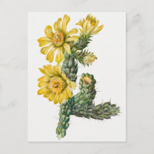 Vintage botanische Illustration Postkarte