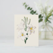 Vintage Botanische Illustration Postkarte (Stehend Vorderseite)