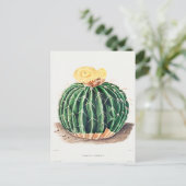 Vintage botanische Illustration Postkarte (Stehend Vorderseite)