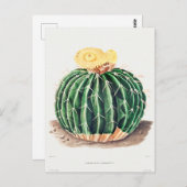 Vintage botanische Illustration Postkarte (Vorne/Hinten)