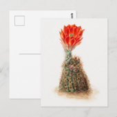 Vintage botanische Illustration Postkarte (Vorne/Hinten)