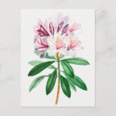 Vintage botanische Illustration Postkarte (Vorderseite)