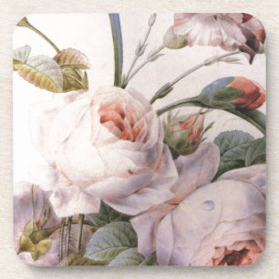 vintage botanische Illustration, rosa Rose Untersetzer