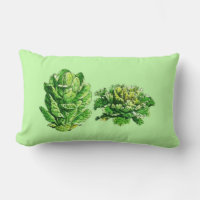 Vintage botanische Illustration, Salat