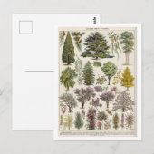 Vintage botanische Illustration von Bäumen Postkarte (Vorne/Hinten)