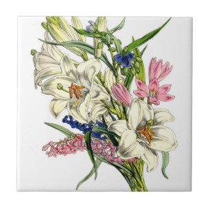 Vintage botanische Illustrationen Fliese