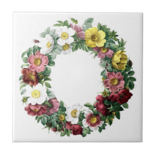 Vintage botanische Illustrationen Fliese