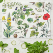Vintage botanische Illustrationen Geschirrtuch (Gefaltet)