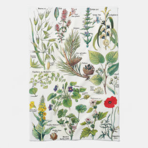 Vintage botanische Illustrationen Geschirrtuch