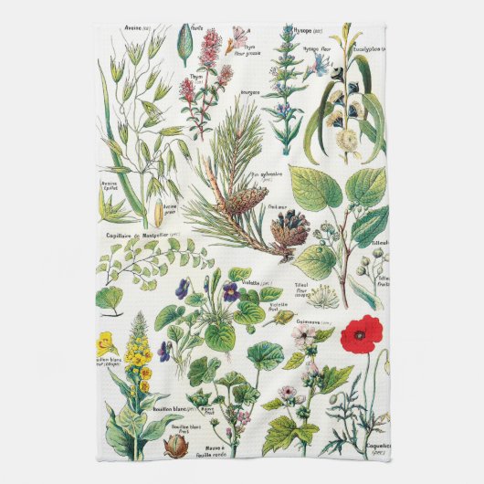 Vintage botanische Illustrationen Geschirrtuch (Vertikal)