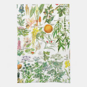 Vintage botanische Illustrationen Geschirrtuch