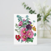 Vintage botanische Illustrationen Hollyhocks Postkarte (Stehend Vorderseite)