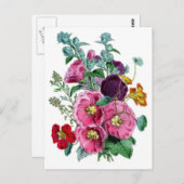 Vintage botanische Illustrationen Hollyhocks Postkarte (Vorne/Hinten)