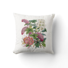 Vintage botanische Illustrationen