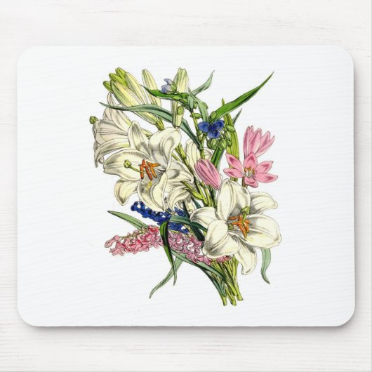 Vintage botanische Illustrationen Mousepad (Vorne)