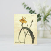 Vintage botanische Iris-Illustration Postkarte (Stehend Vorderseite)
