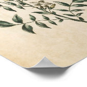 Vintage Botanische JasminPrint Poster (Ecke)