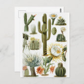 Vintage botanische Kaktus-Illustration Postkarte (Vorne/Hinten)
