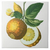 Vintage botanische Keramik Fliese (Vorderseite)