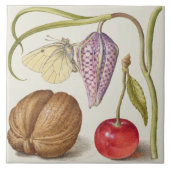 Vintage botanische Keramik Fliese (Vorderseite)