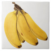 Vintage botanische Keramik Fliese (Vorderseite)