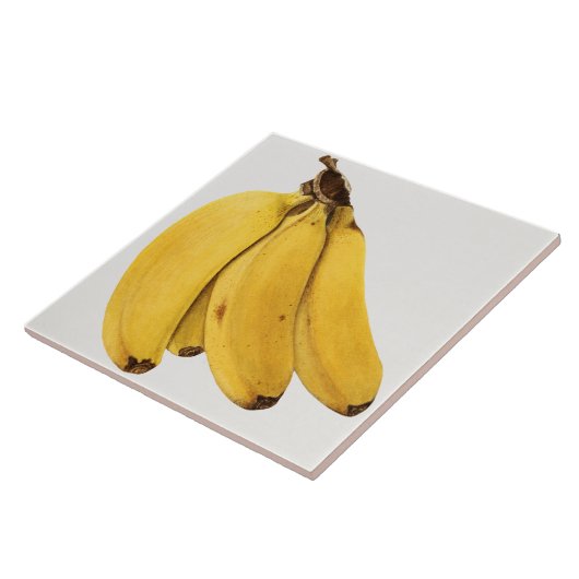 Vintage botanische Keramik Fliese (Seite)