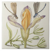 Vintage botanische Keramik Fliese (Vorderseite)