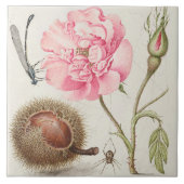 Vintage botanische Keramik Fliese (Vorderseite)