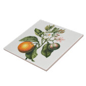 Vintage botanische Keramik Fliese (Seite)