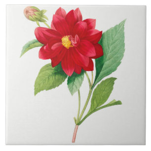 Vintage botanische Keramik Fliese