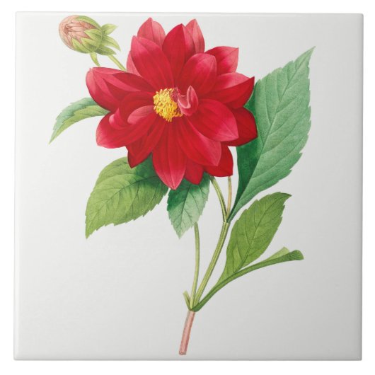 Vintage botanische Keramik Fliese (Vorderseite)