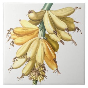 Vintage botanische Keramik Fliese